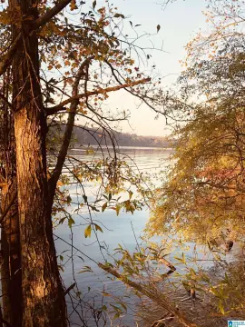 Waterfront Acreage on Lay Lake