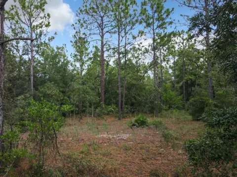 Ocala Land with Development Potential