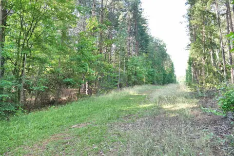 Unrestricted Wooded Tract with Road Access