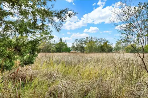 Ogeechee River Marsh Front Land