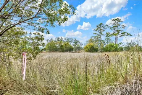 Ogeechee River Marsh Front Land