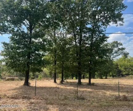 20 Acre Land in Carthage, MO