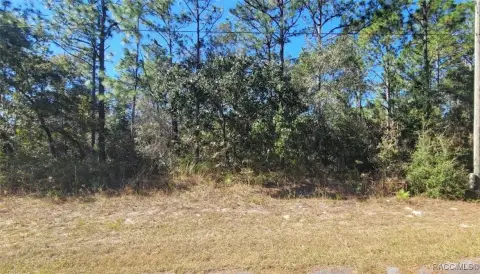 Citrus Springs Residential Land