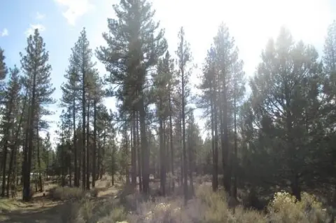 Land in Klamath Forest Estates