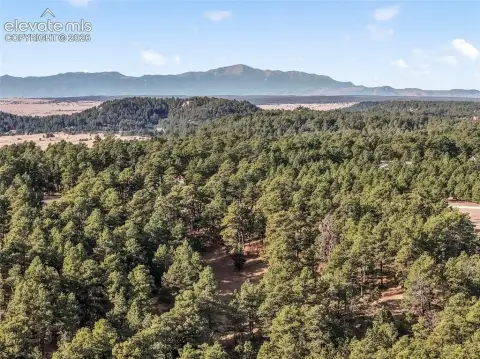 Treed Corner Buildable Acreage
