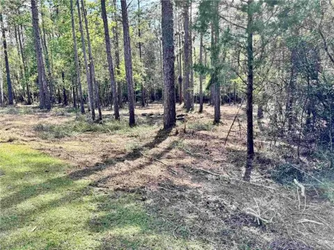 Residential Lot in Gated Community