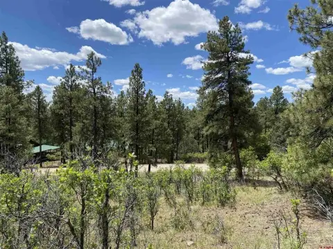 Land in Pagosa Springs, CO
