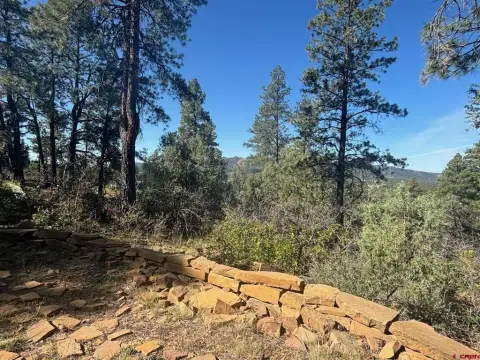 Land in Pagosa Springs, CO