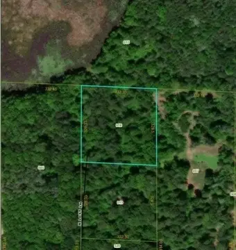 Wooded Hunting Land