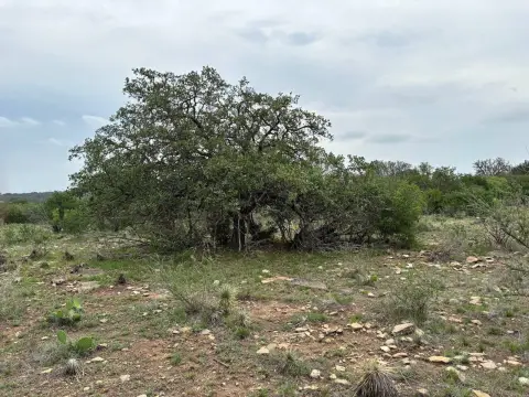 85 Acres Hunting and Agricultural Land