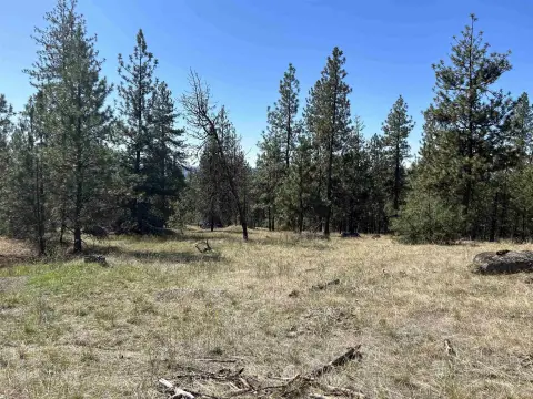 20 Acres Timber Property