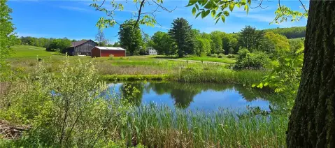 Private Acreage with Ponds and Barns