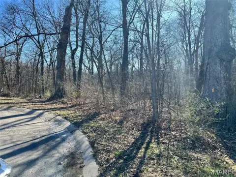 Wooded Multi-Family Land Lot