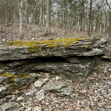 Ash Flat Acreage Homesite