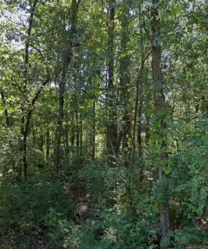 Residential Lot in Pine Bluff