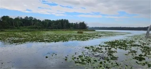 Residential Land with Lake Access