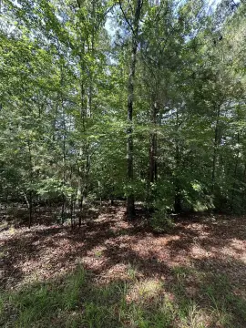 Hunting and Recreational Land Tract