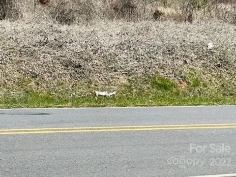 Residential Land in Connelly Springs
