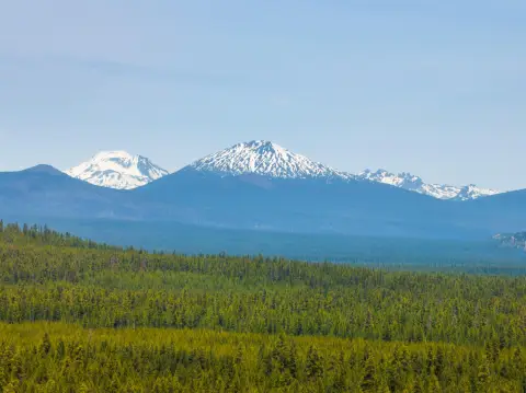La Pine Wooded Acreage