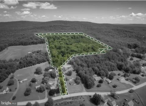 Wooded Hunting Land