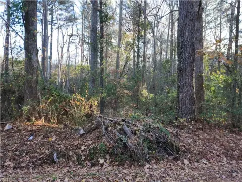 Wooded Residential Development Lot