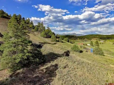 Treed Land Parcel with Multiple Sites