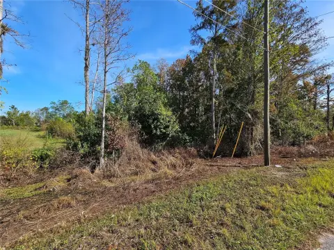 Vacant Land in Holopaw, Florida