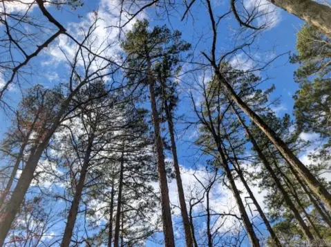 Residential Lot in Gated Community