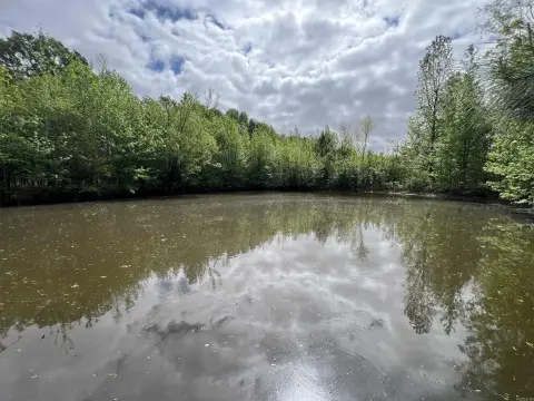 Higginson, AR Wooded Acreage