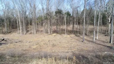 Residential Lot in Greenbrier, AR