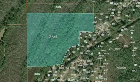 42 Acres of Versatile Land
