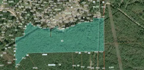 41 Acres of Versatile Land