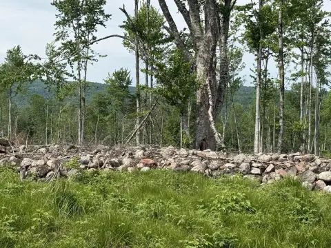 Acreage Parcel with Interior Access