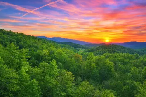 Del Rio Vacant Land Opportunity