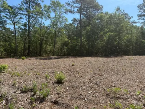 2-Acre Vacant Land, Darlington, SC