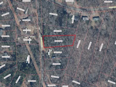 Wooded Land Parcel in Belton