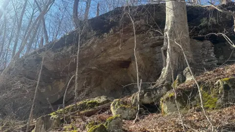 35 Acres of Recreational Land