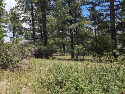 Cul-de-Sac Custom Home Lot