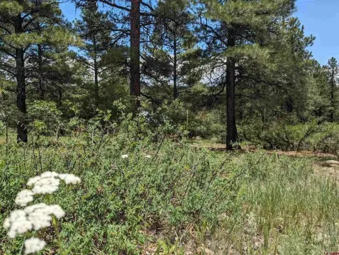 Cul-de-Sac Custom Home Lot