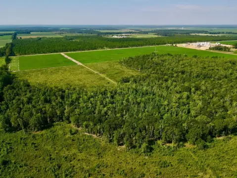 Income-Producing Farm Land Available