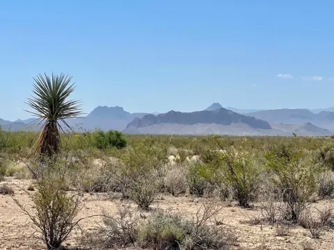 Terlingua Land with Scenic Views