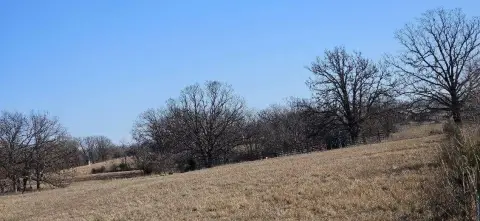 Stockton, MO Land Opportunity