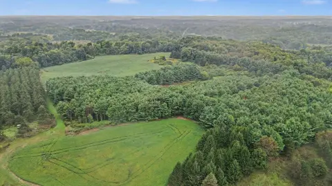 Hunting Land with Farm Ground