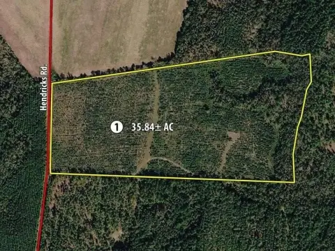 Hunting Land with Interior Roads