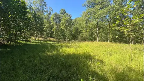 Hunting Land with Ridge Road