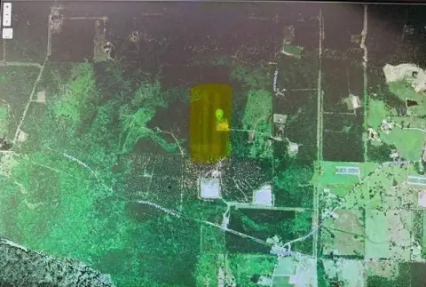 Planted Pine Hunting Land