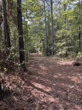 80 Acres Hunting/Recreational Land