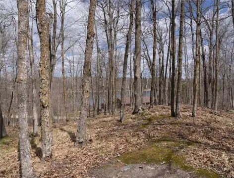 Wooded Lake-View Land Parcel