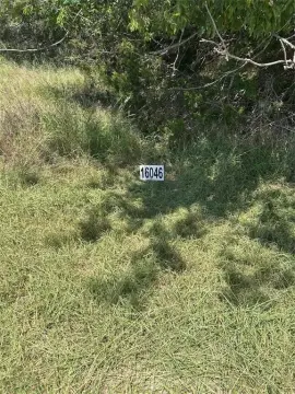 Land For Sale in Whitney