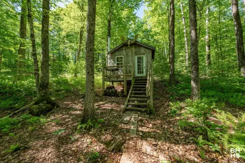 Wooded Recreation Land with Cabin